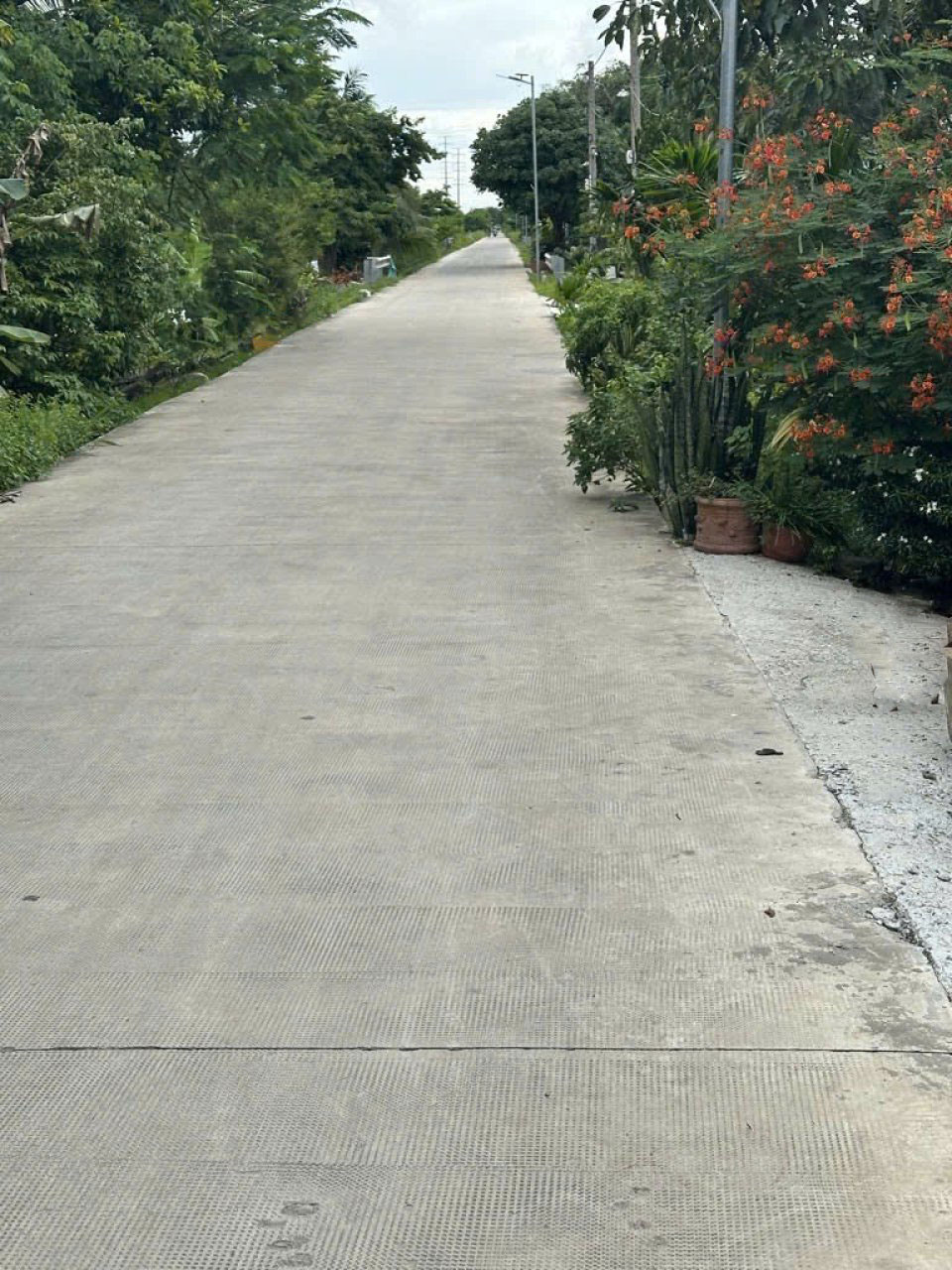 Nhà mặt tiền View kênh đường xe tải 112m2 – Nguyễn Văn Bứa HM - Ảnh 4